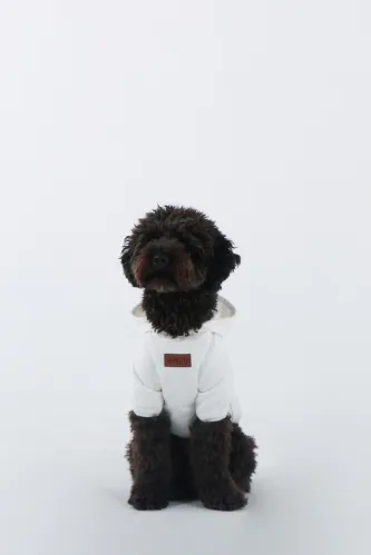 Basic Hoodie (Ecru) 