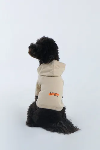 Basic Hoodie (Sand)
