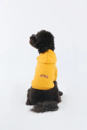 Basic Hoodie (Mustard)