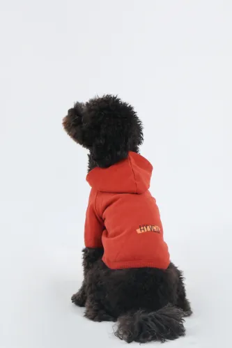 Basic Hoodie (Brick)