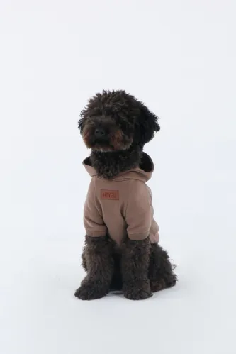 Basic Hoodie (Coffee)
