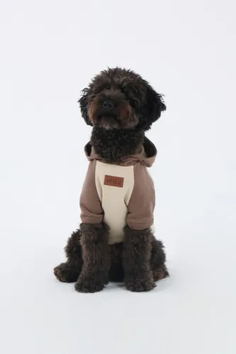 Dual Colour Hoddie (Sand-Coffee)