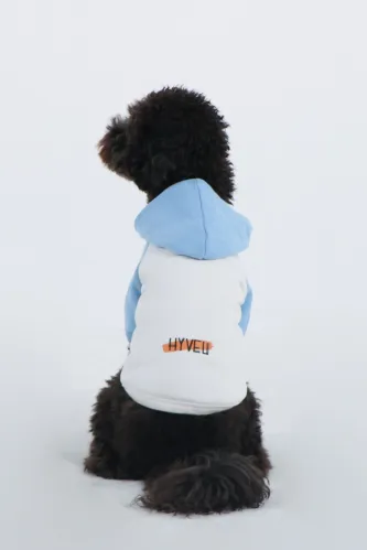Dual Colour Hoddie (Ecru-Sky Blue)