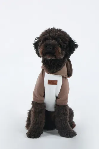 Dual Colour Hoddie (Ecru-Coffee)
