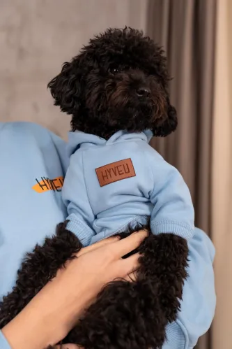 Basic Hoodie (Sky Blue)